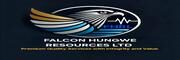 falconhungweresources.co.uk